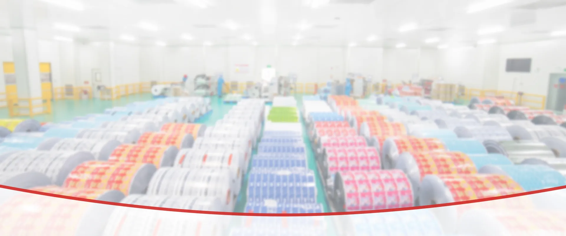 Desktop hero image for “Professional Flexible Packaging Supplier with Decades of Experience.”